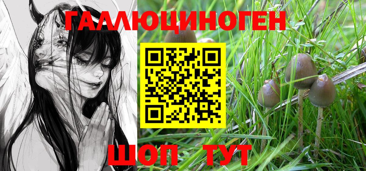Галлюциногенные грибы Psilocybe Первоуральск